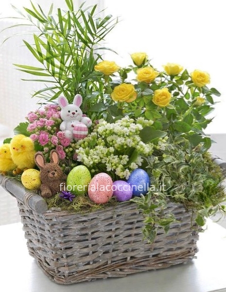 Cesto Piante Miste & Gadget Pasquale
