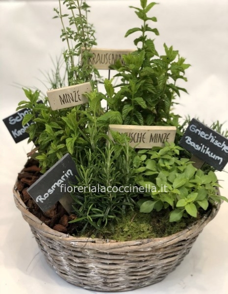 Cesto Piante AROMATICHE Miste